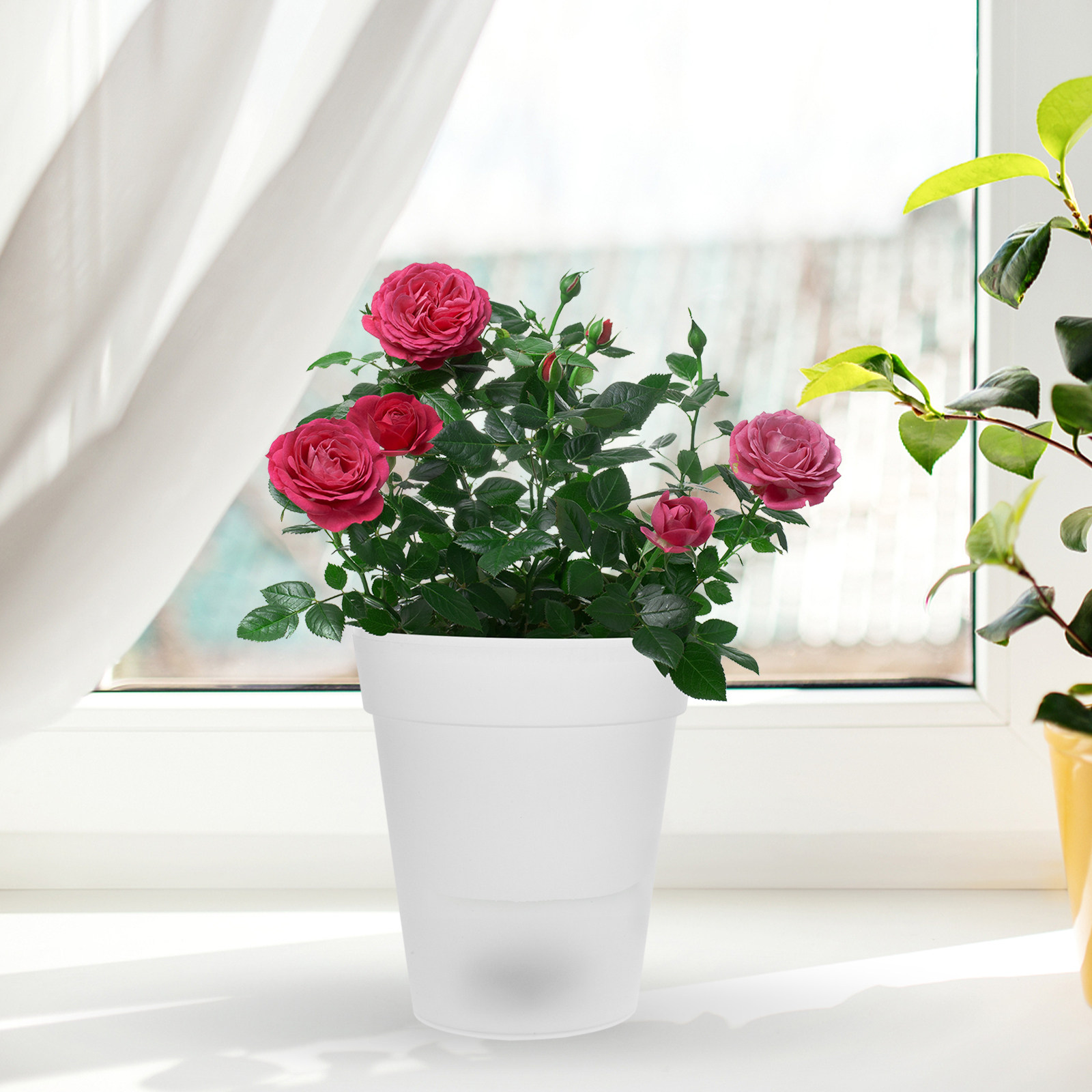 Flowerpot Solar Light Outdoor  - Christmas Lights Outdoor avaliação e preço